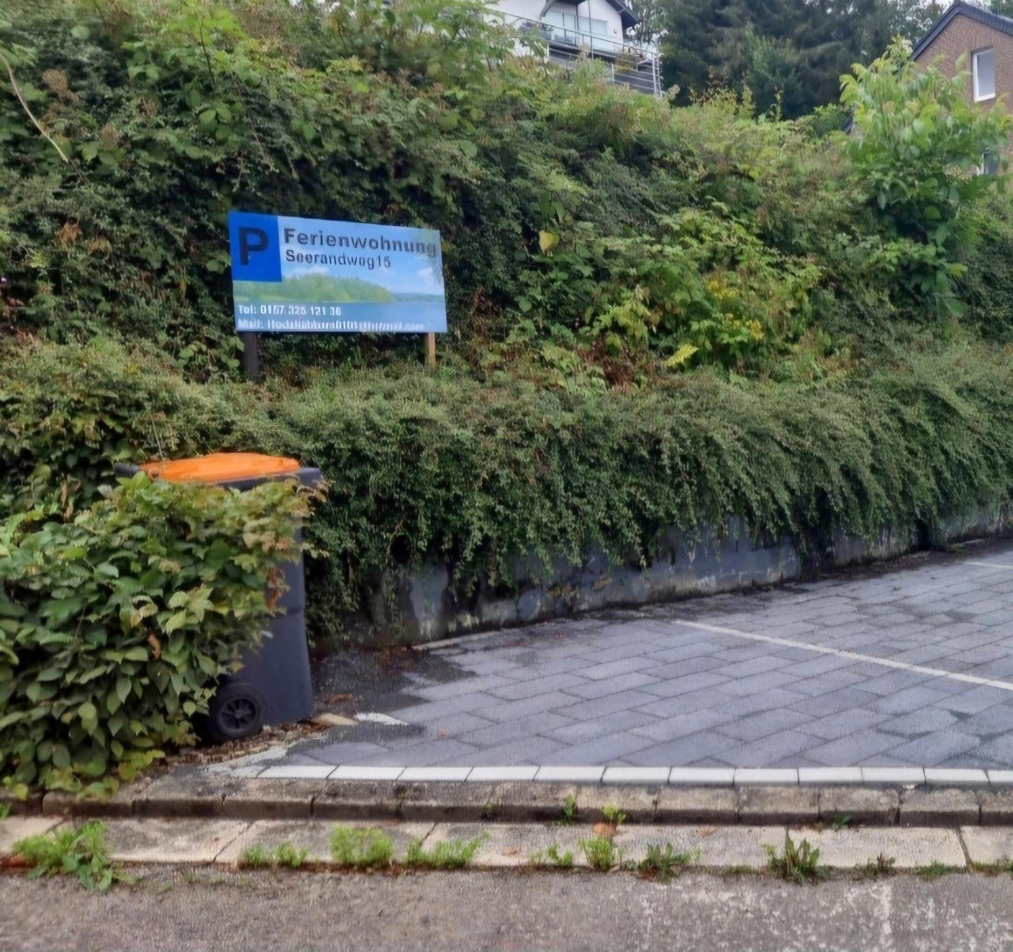 Ferienwohnung Seerandweg Simmerath Bagian luar foto